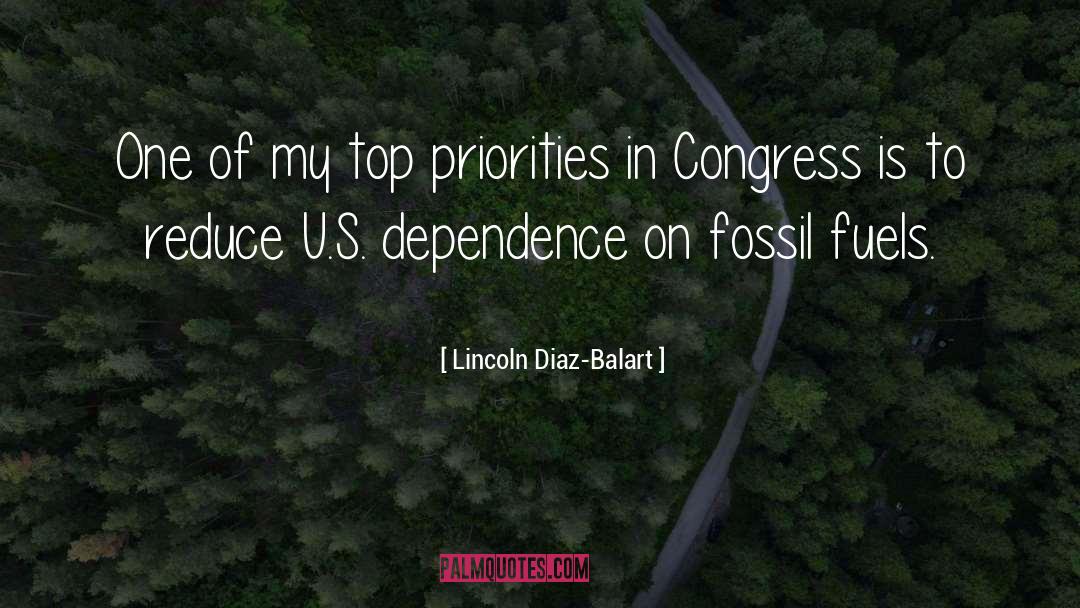 Top Priorities quotes by Lincoln Diaz-Balart