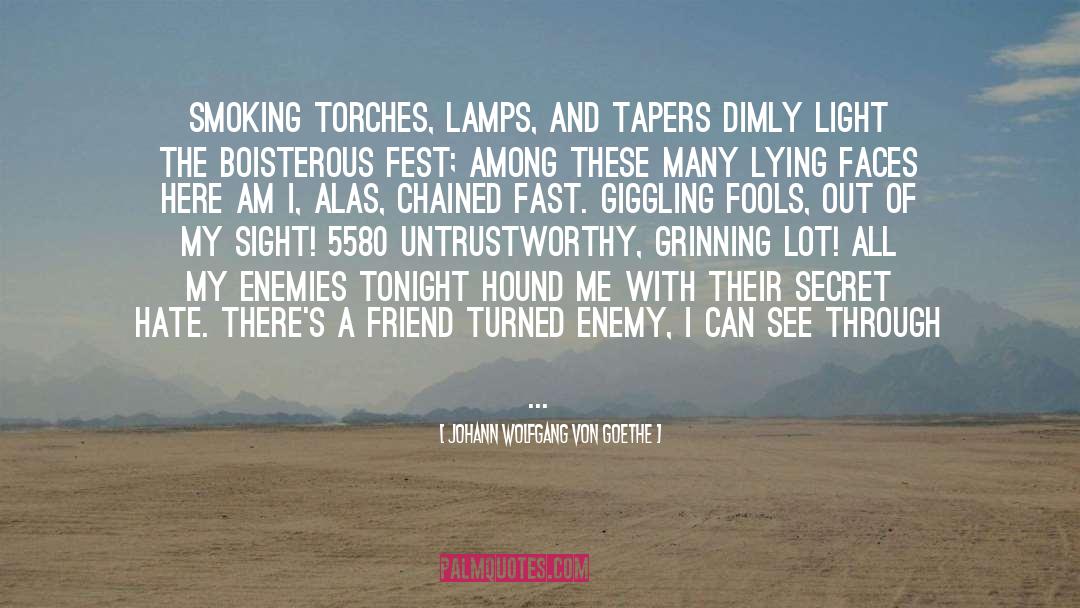 Torches quotes by Johann Wolfgang Von Goethe
