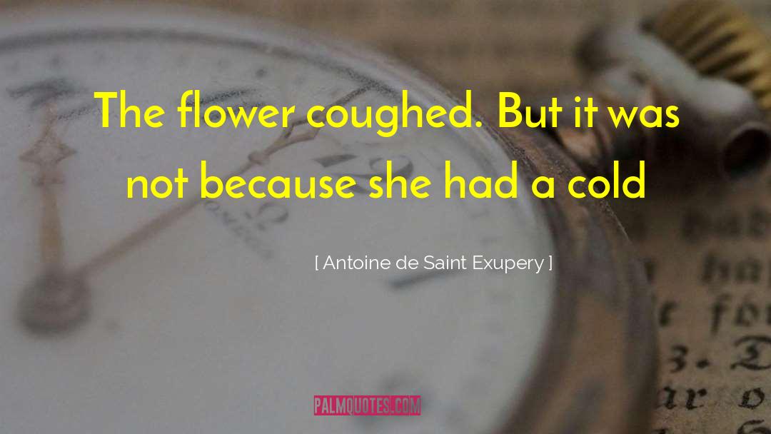 Toreadors De Pointes quotes by Antoine De Saint Exupery