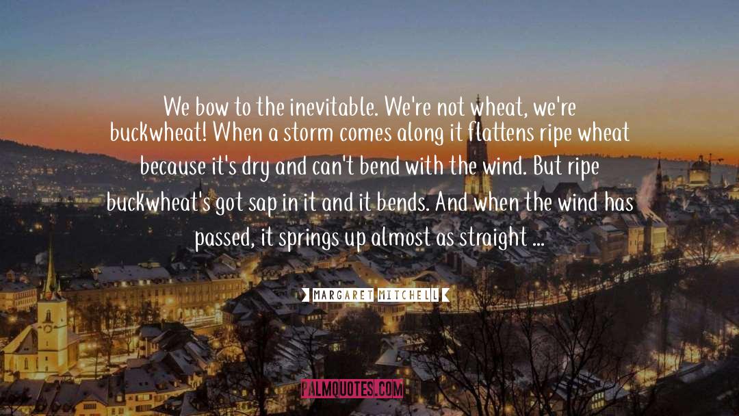 Torment Of The Storm quotes by Margaret Mitchell