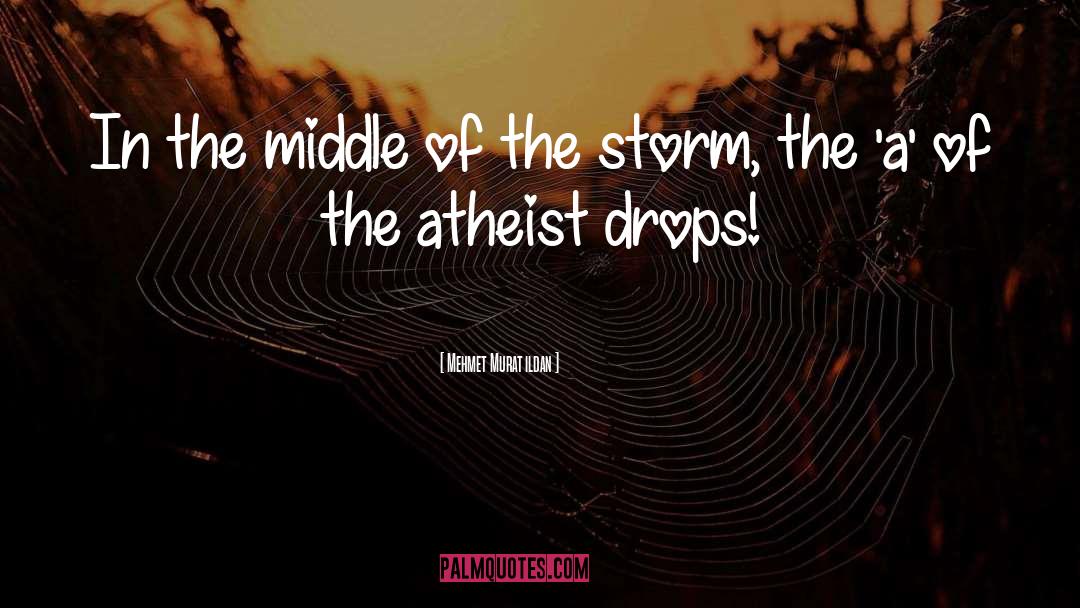 Torment Of The Storm quotes by Mehmet Murat Ildan