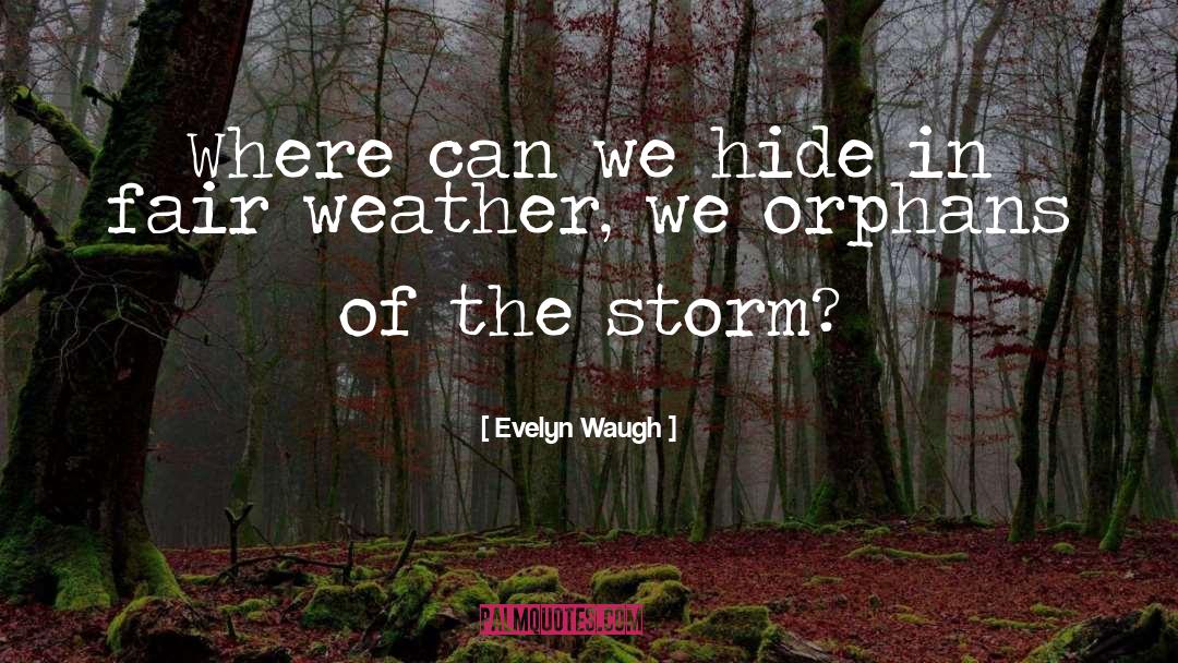 Torment Of The Storm quotes by Evelyn Waugh