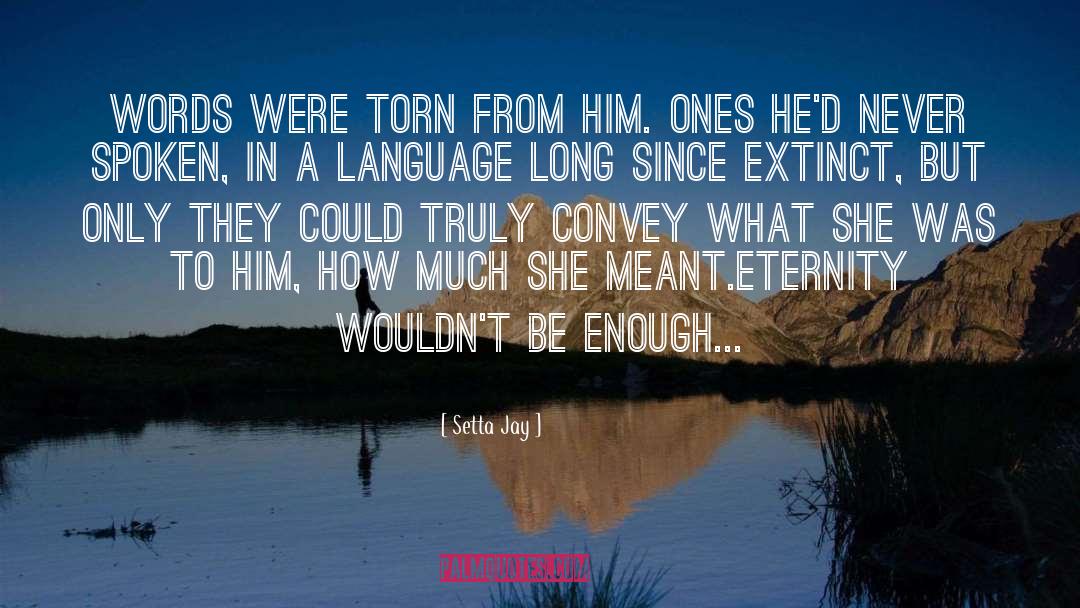 Tormented Book Boyfriends quotes by Setta Jay