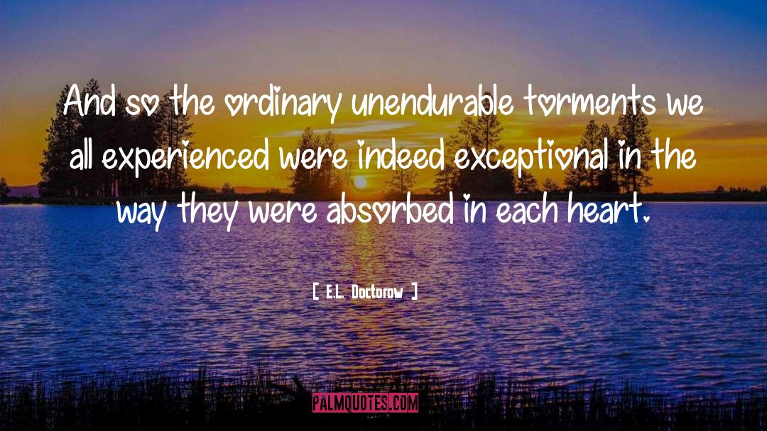 Torments quotes by E.L. Doctorow