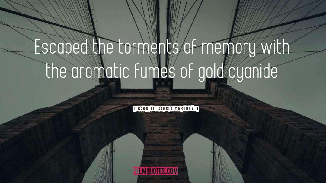 Torments quotes by Gabriel Garcia Marquez