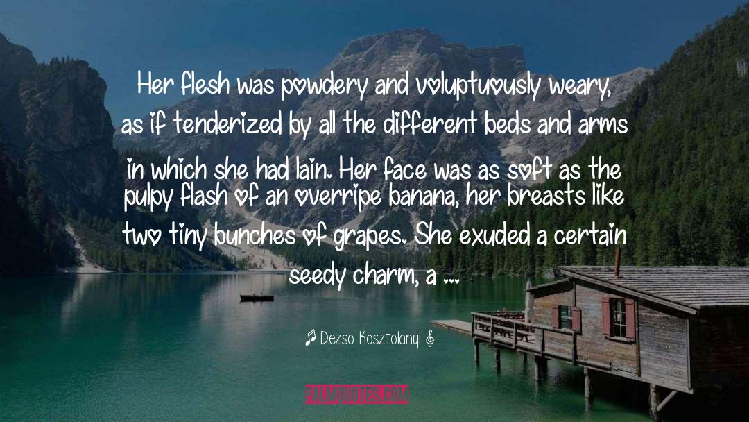 Torn Flesh quotes by Dezso Kosztolanyi