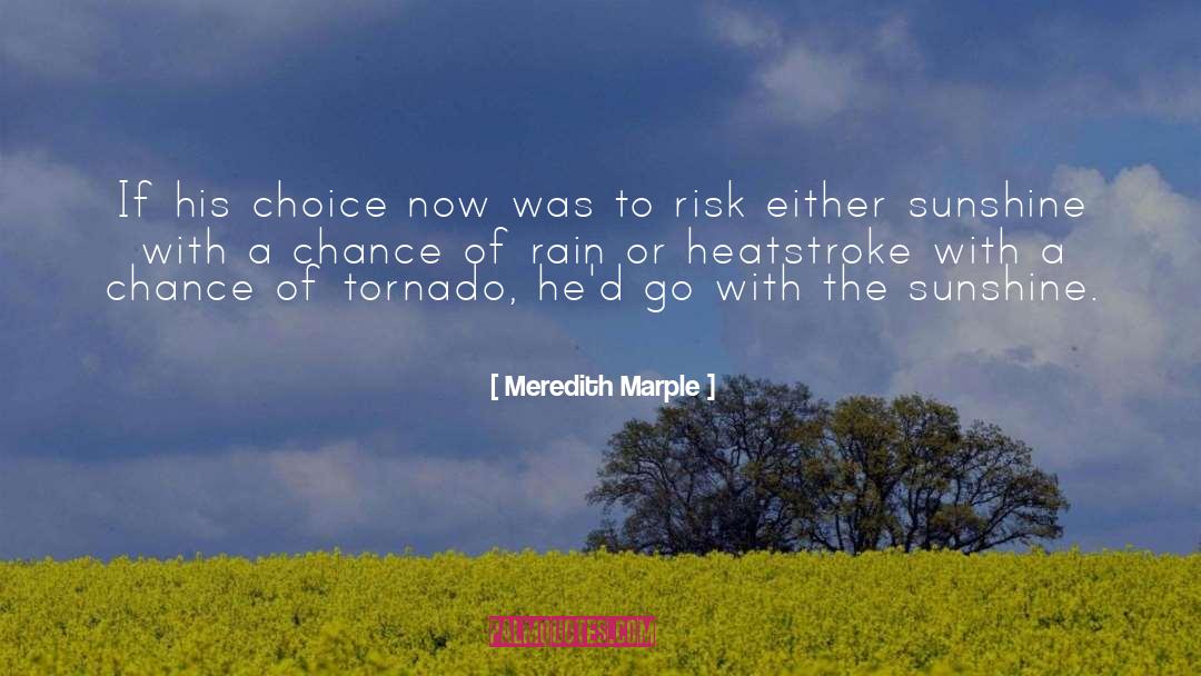 Tornado quotes by Meredith Marple