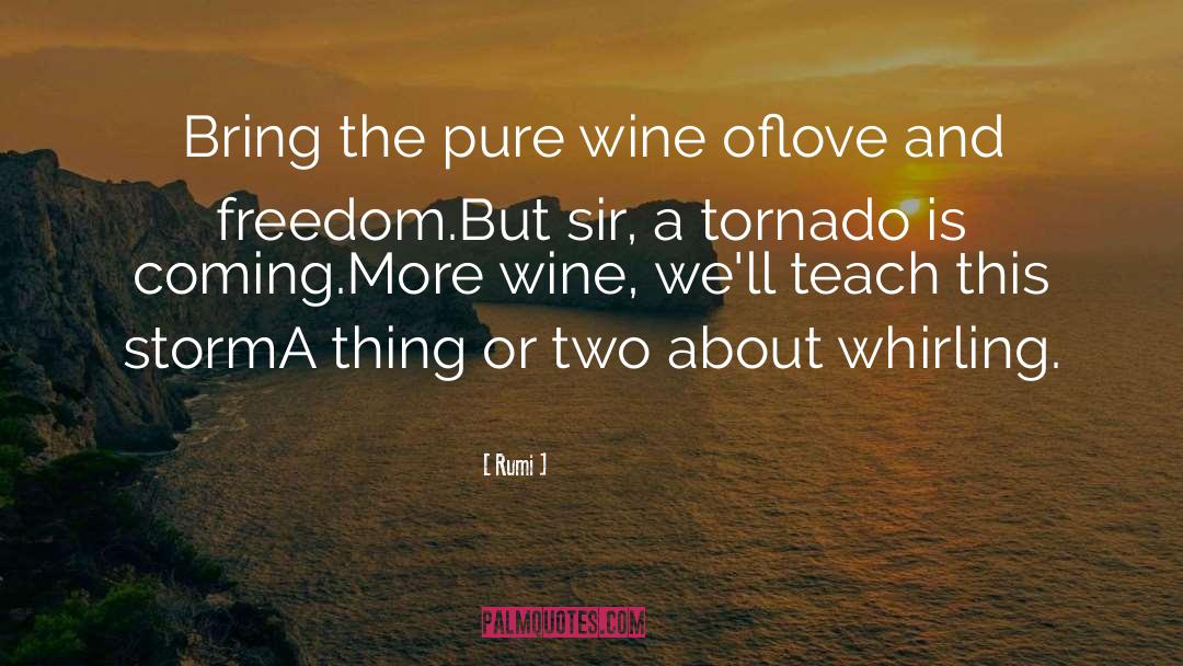 Tornado quotes by Rumi