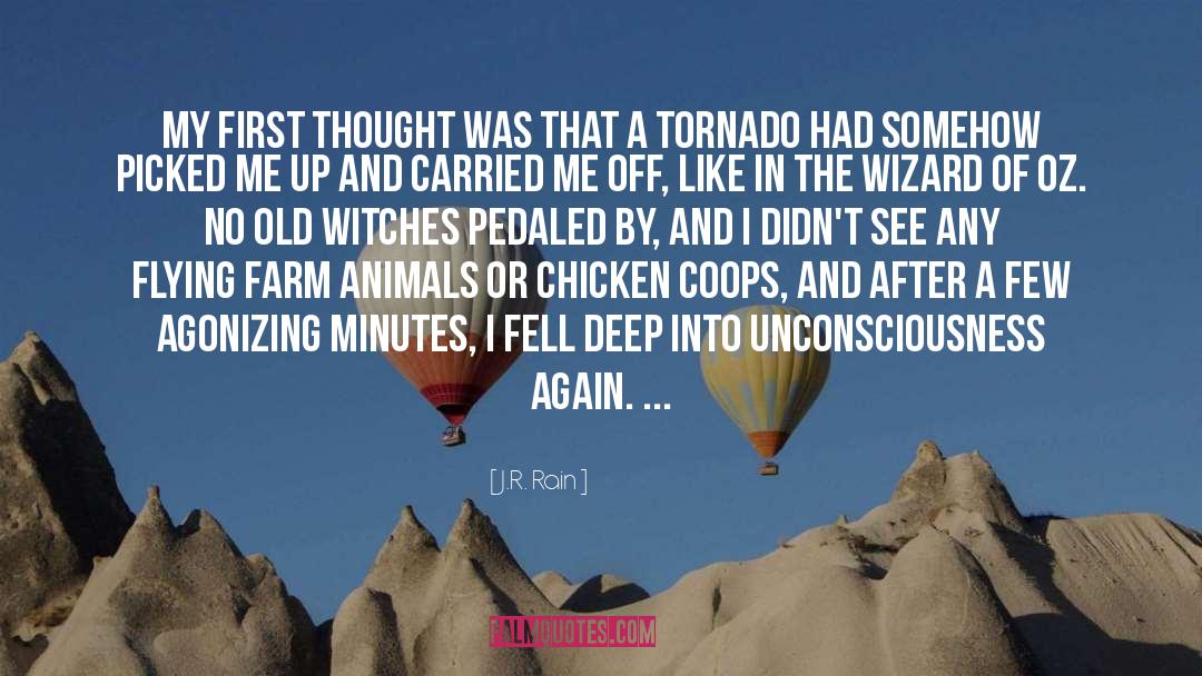 Tornado quotes by J.R. Rain