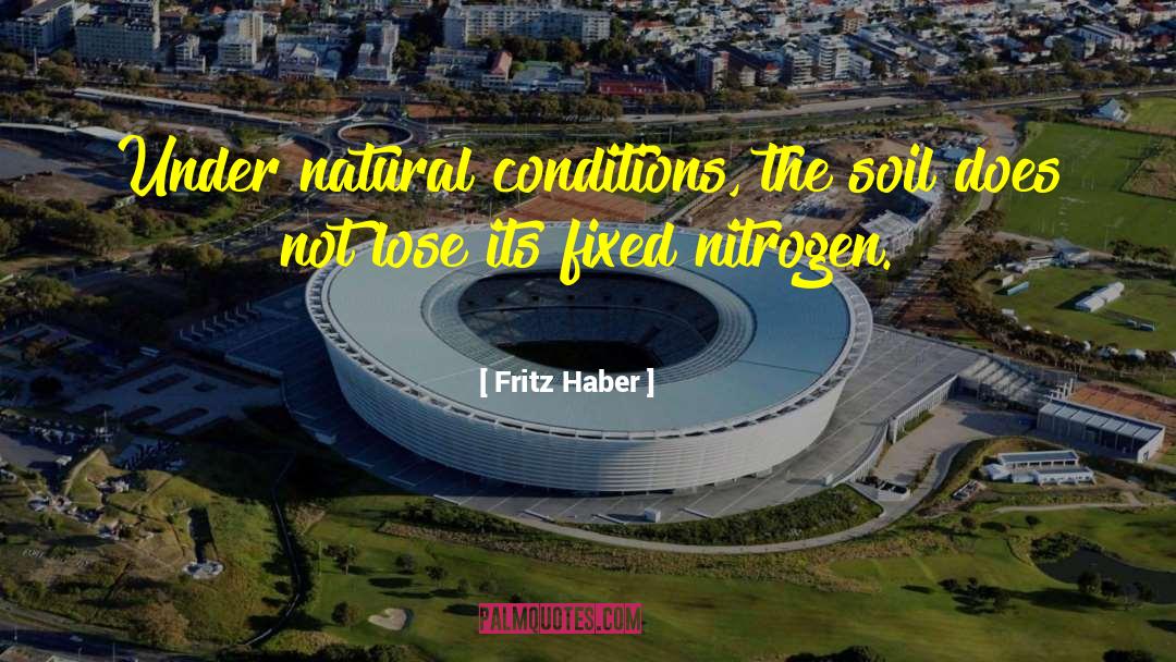 Tornes Soil quotes by Fritz Haber