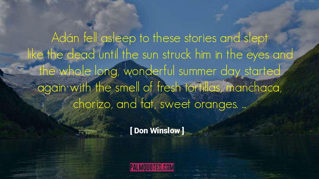 Tortillas quotes by Don Winslow