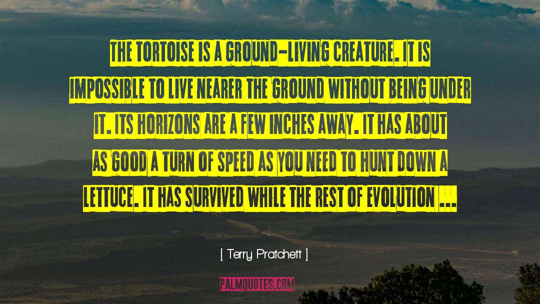 Tortoise quotes by Terry Pratchett