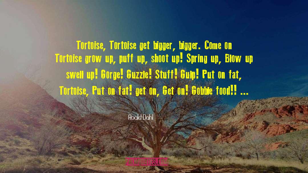 Tortoise quotes by Roald Dahl