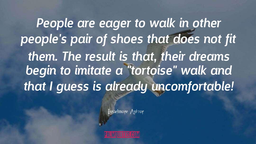 Tortoise quotes by Israelmore Ayivor