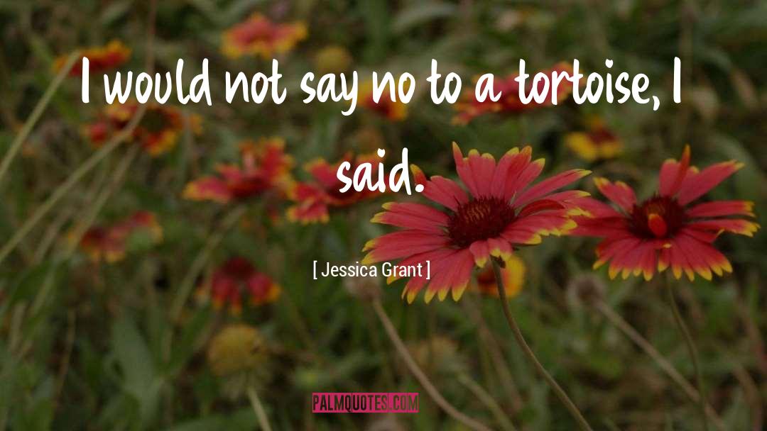 Tortoise quotes by Jessica Grant