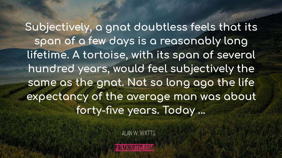 Tortoise quotes by Alan W. Watts