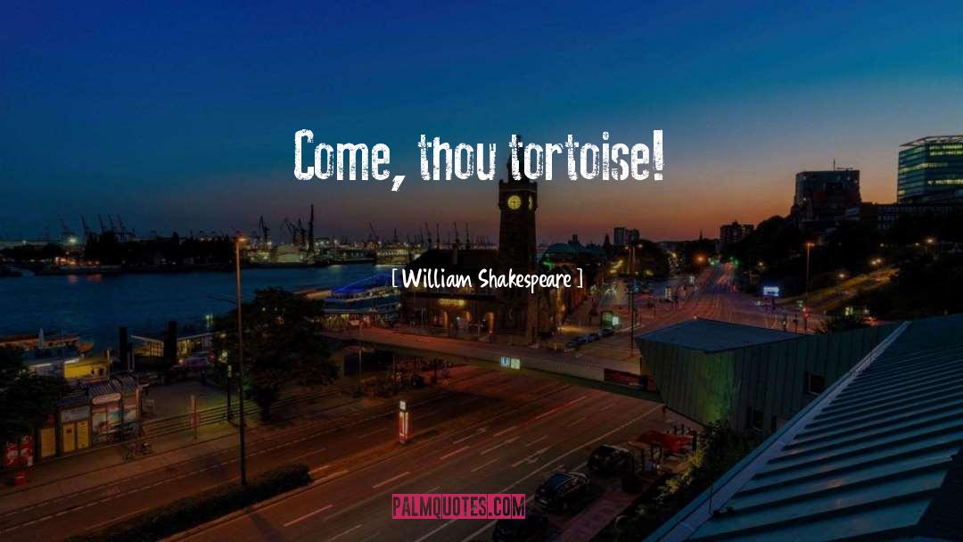 Tortoise quotes by William Shakespeare