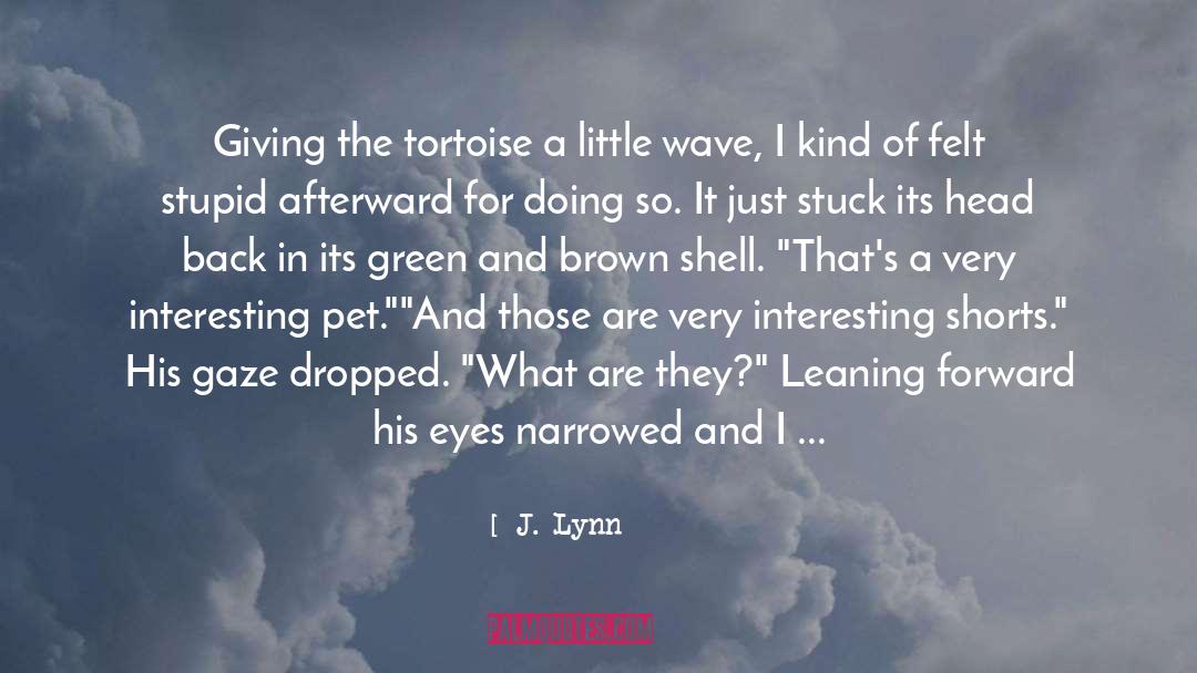 Tortoise quotes by J. Lynn