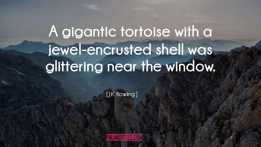 Tortoises quotes by J.K. Rowling
