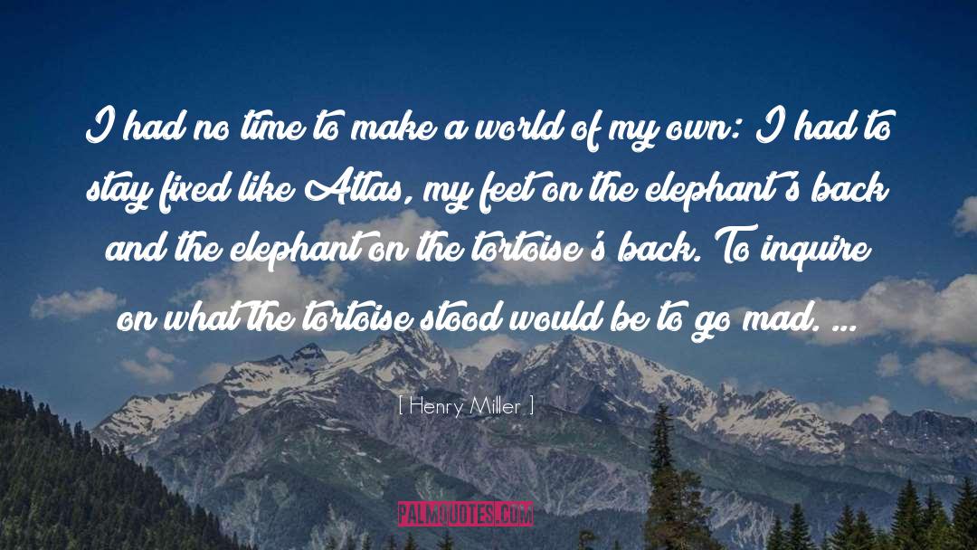 Tortoises quotes by Henry Miller