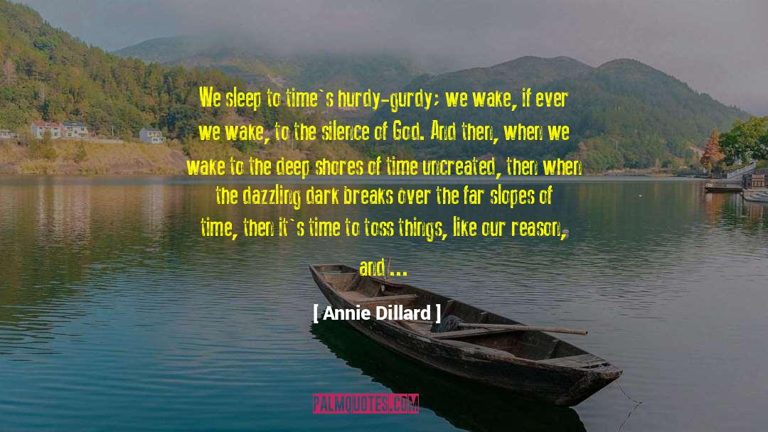 Toss quotes by Annie Dillard