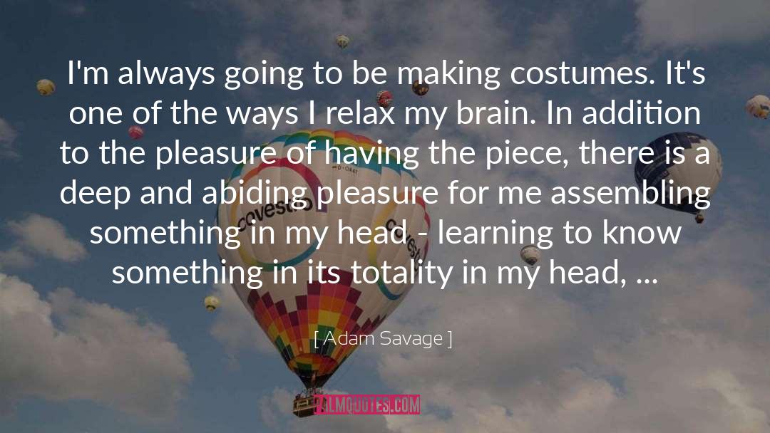 Totality quotes by Adam Savage
