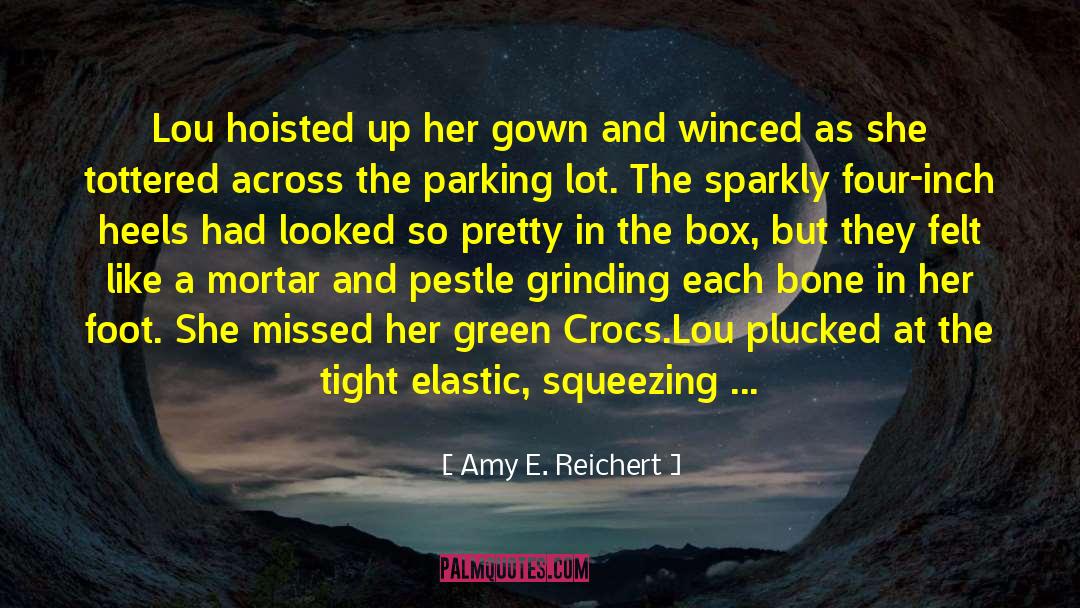 Tottered Antonym quotes by Amy E. Reichert