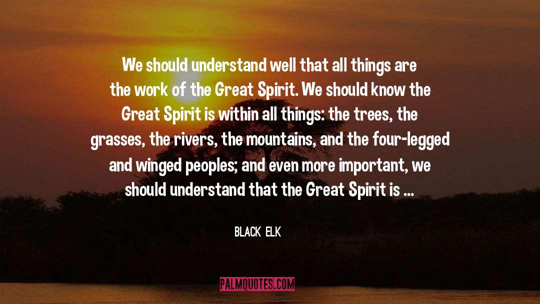 Touch Hearts quotes by Black Elk
