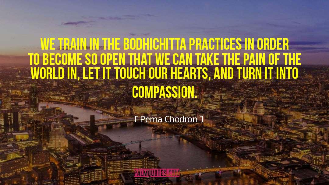 Touch Our Hearts quotes by Pema Chodron