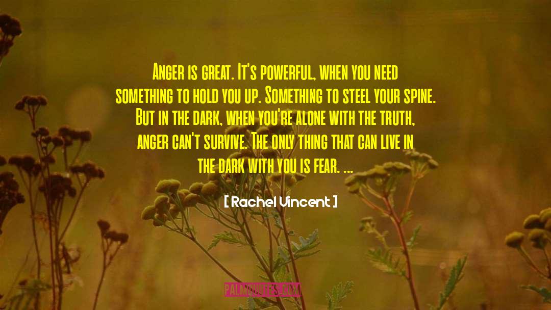 Touch The Soul quotes by Rachel Vincent