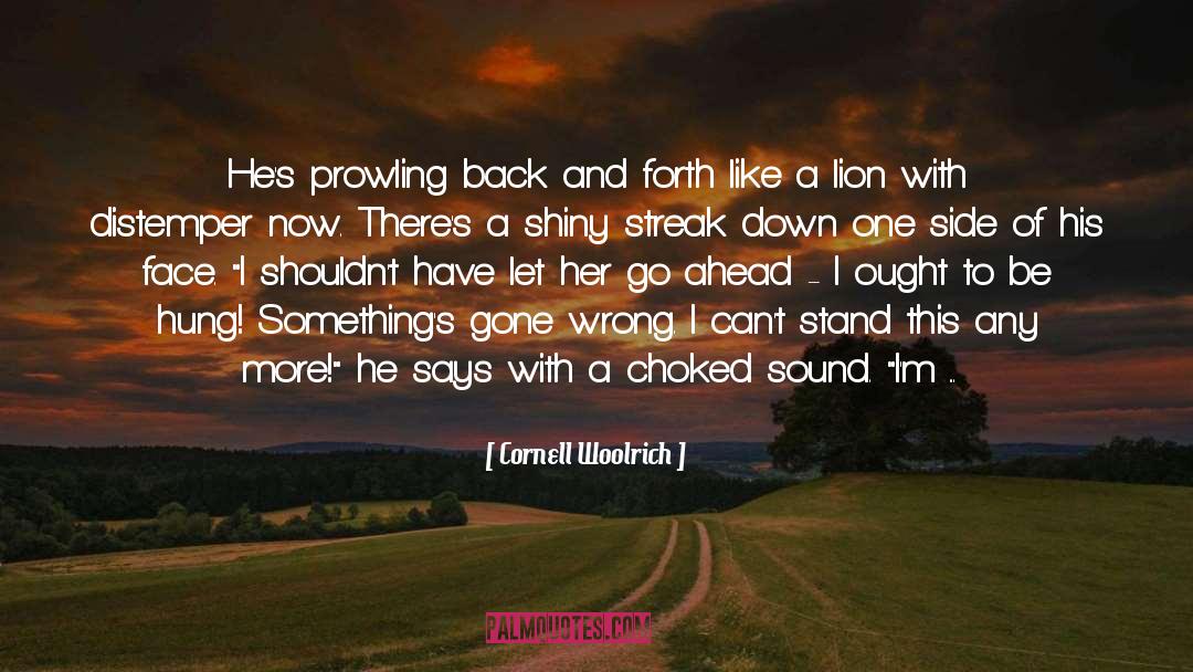 Touchdown quotes by Cornell Woolrich