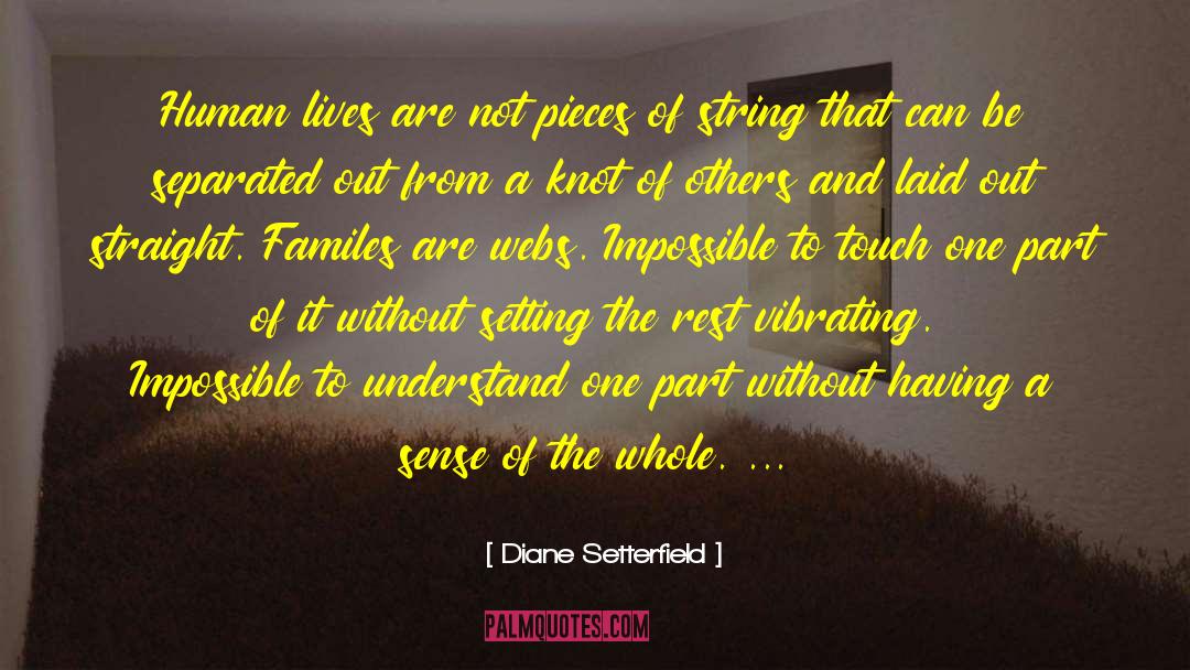 Touching Lives quotes by Diane Setterfield