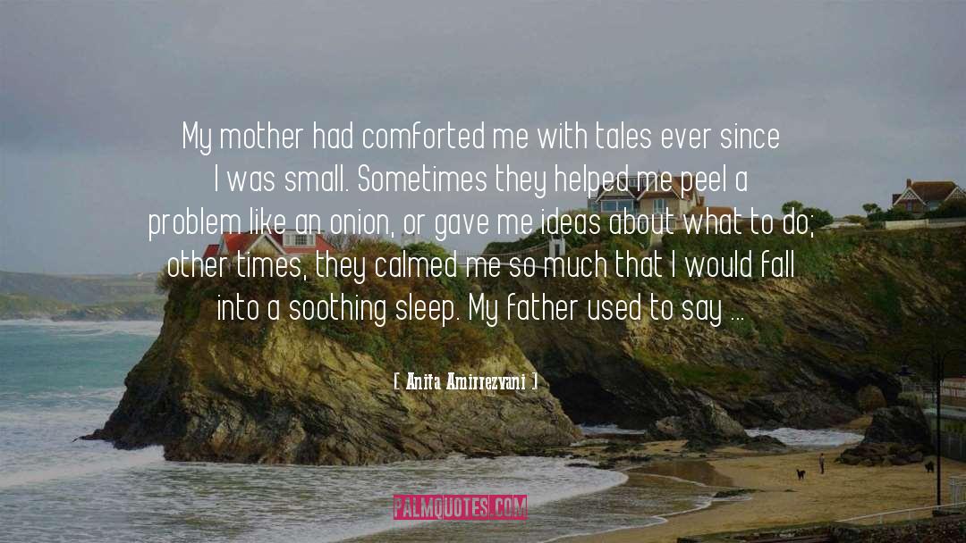 Touching Mother quotes by Anita Amirrezvani