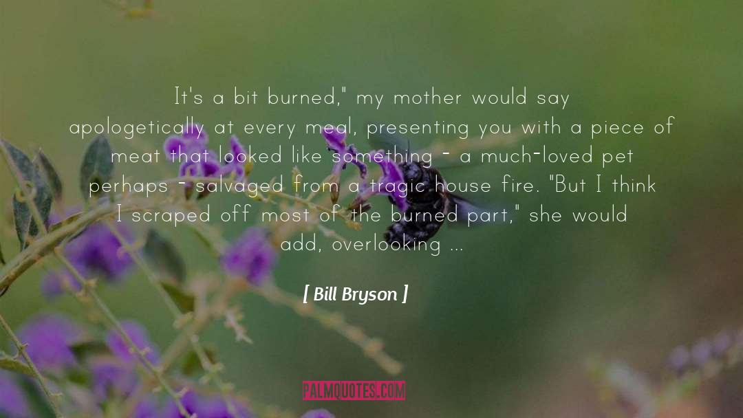 Touching Mother quotes by Bill Bryson