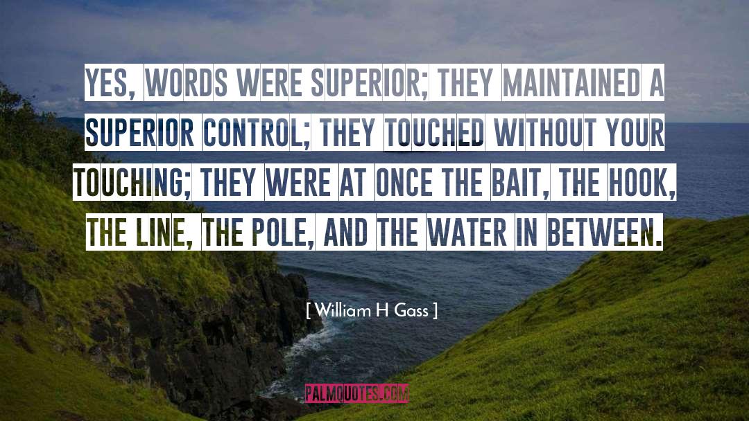 Touching quotes by William H Gass