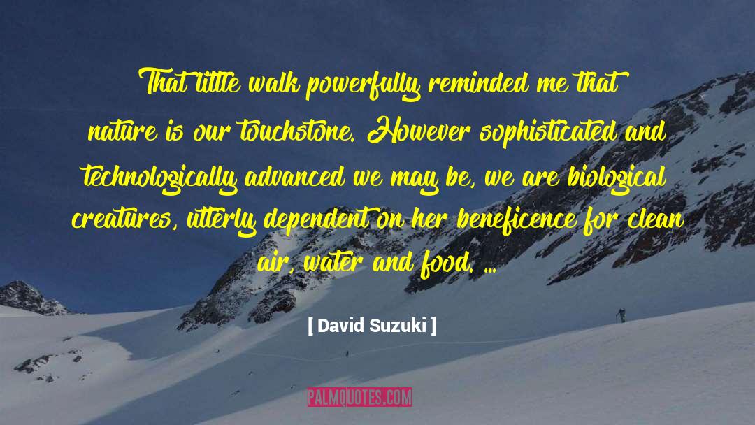 Touchstone quotes by David Suzuki