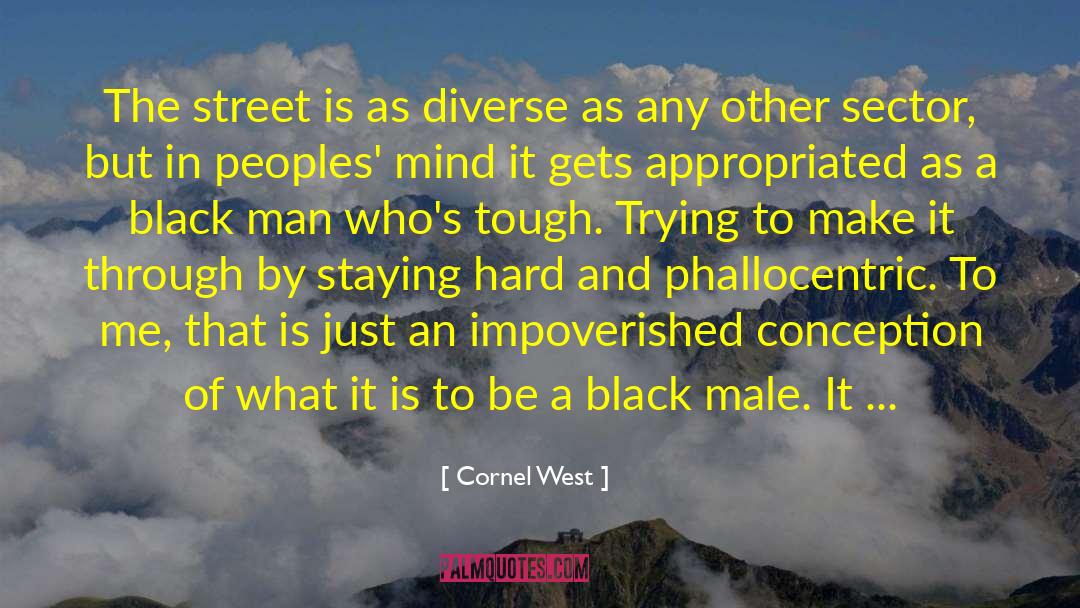 Tough Competition quotes by Cornel West