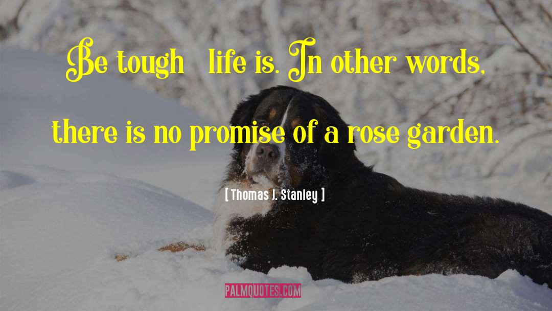 Tough Life quotes by Thomas J. Stanley