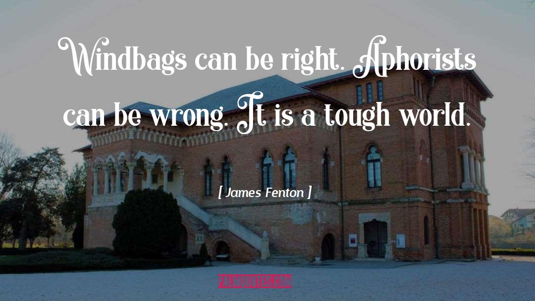 Tough World quotes by James Fenton