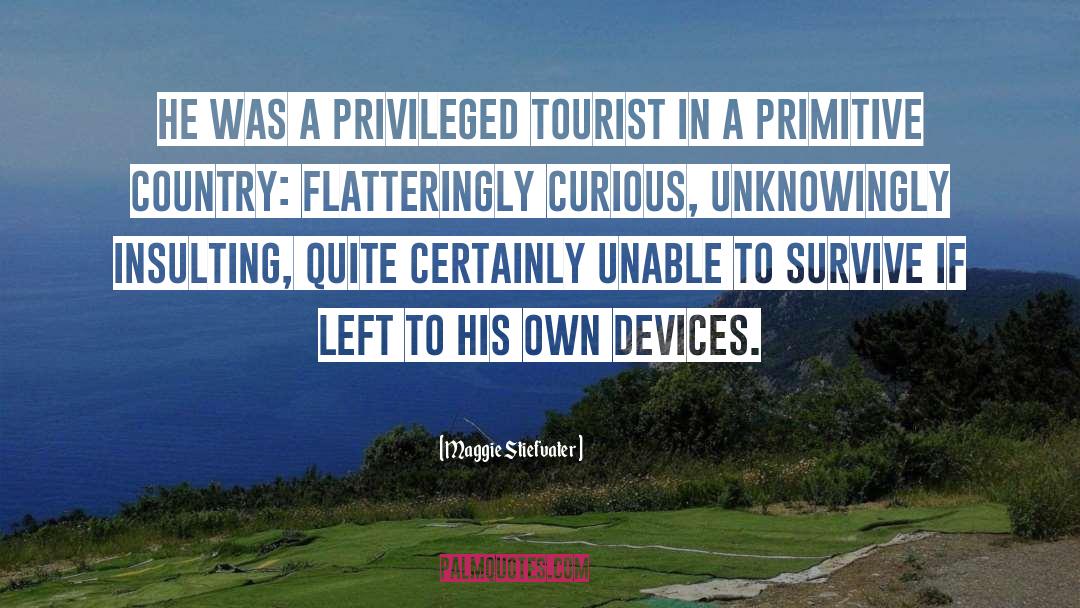 Tourist Brochures quotes by Maggie Stiefvater