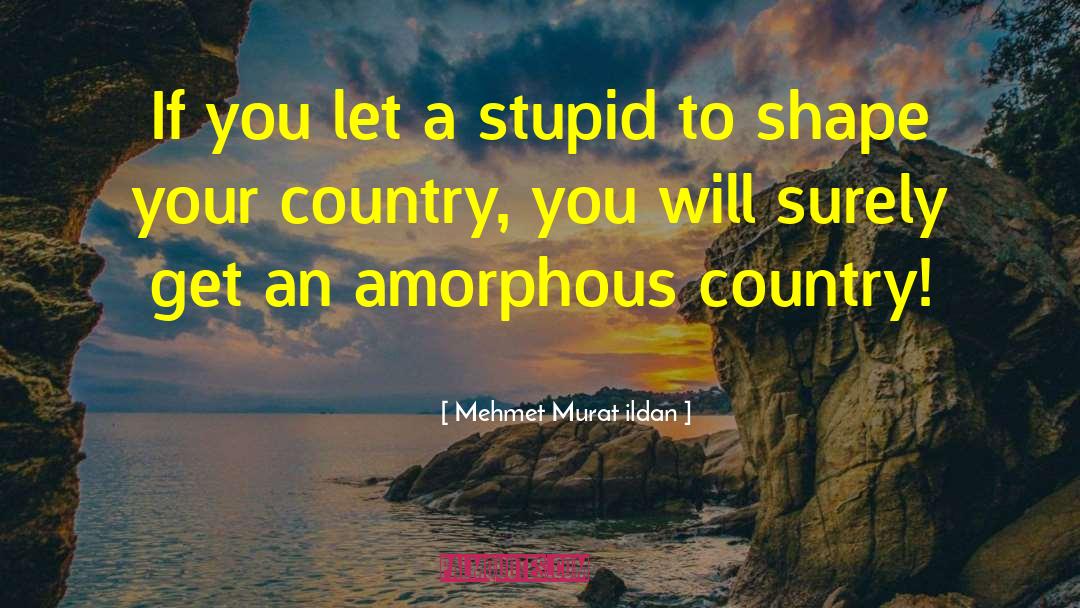 Towie Stupid quotes by Mehmet Murat Ildan