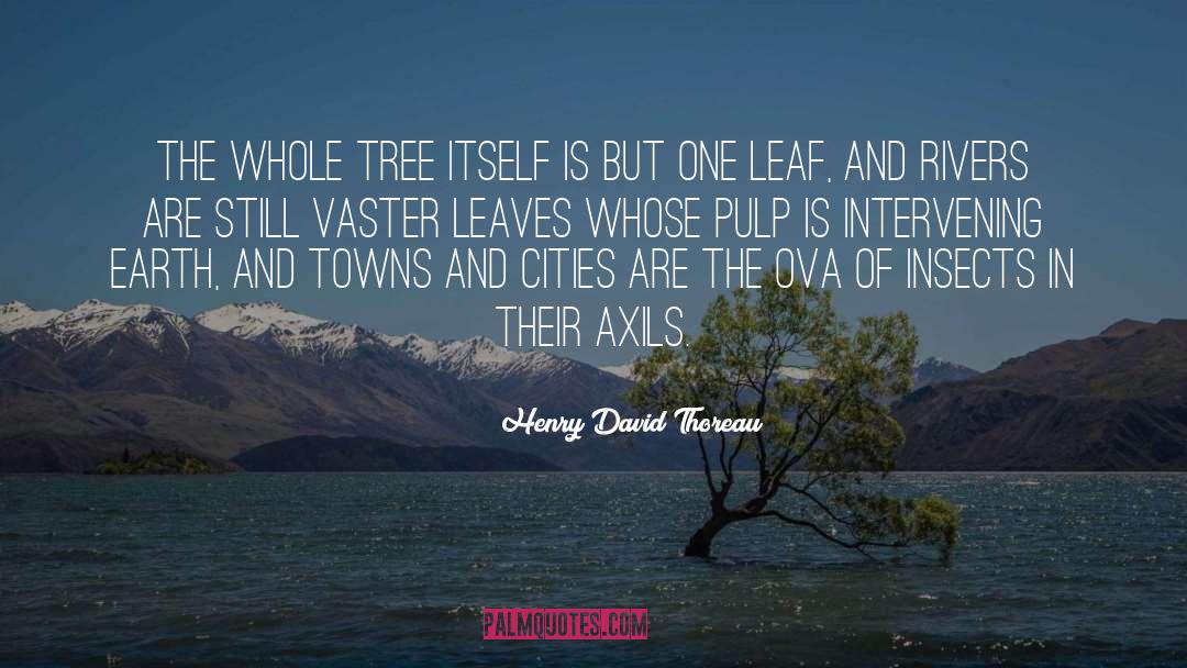 Towns quotes by Henry David Thoreau