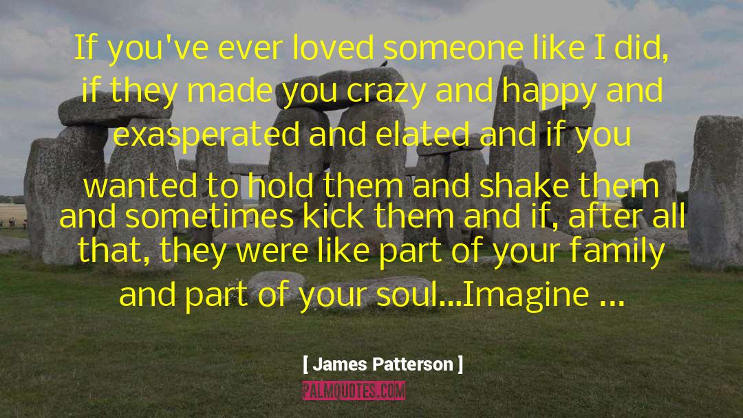 Toxic Family quotes by James Patterson