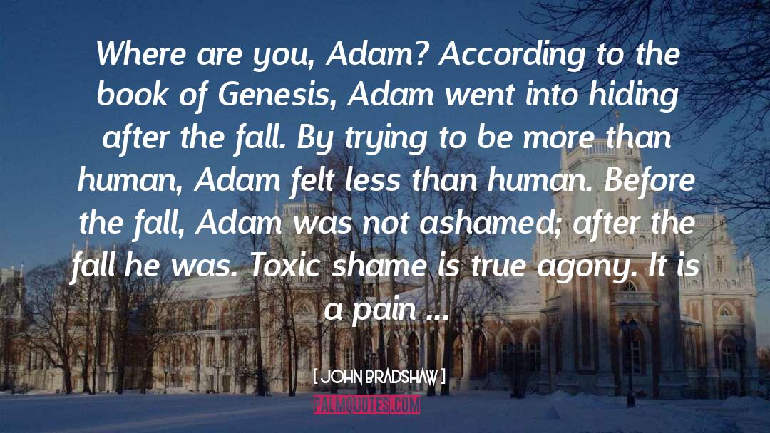 Toxic Shame quotes by John Bradshaw