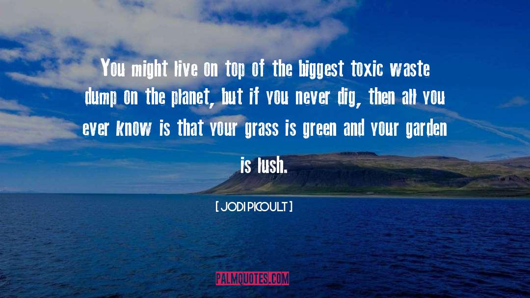 Toxic Waste quotes by Jodi Picoult