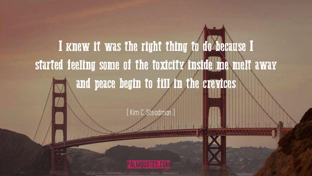 Toxicity quotes by Kim C. Steadman