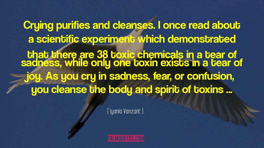 Toxin quotes by Iyanla Vanzant