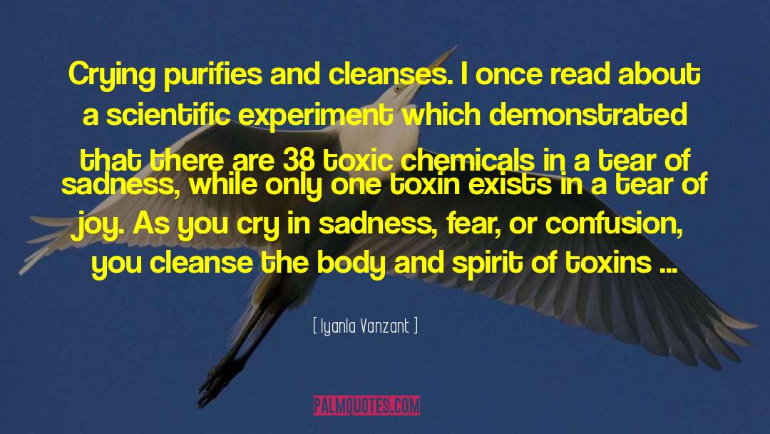 Toxins quotes by Iyanla Vanzant