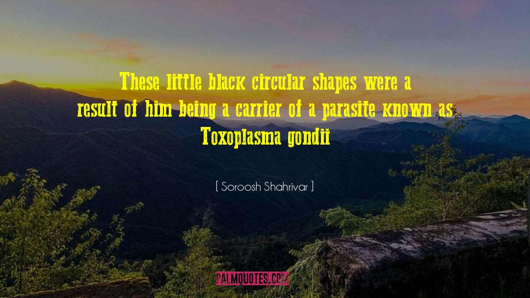 Toxoplasmosis quotes by Soroosh Shahrivar