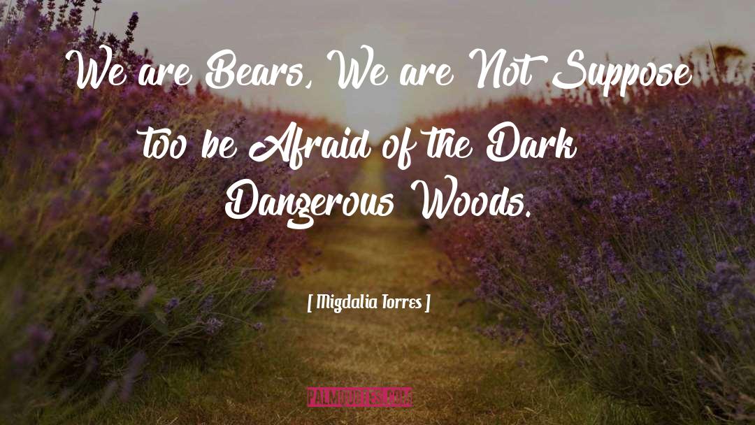 Toy Bears quotes by Migdalia Torres